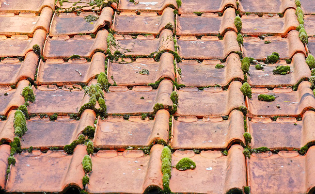 demoussage toiture 95 val d'oise